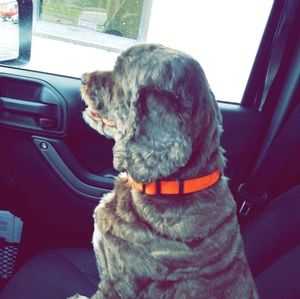 Meet your Posher, Christy